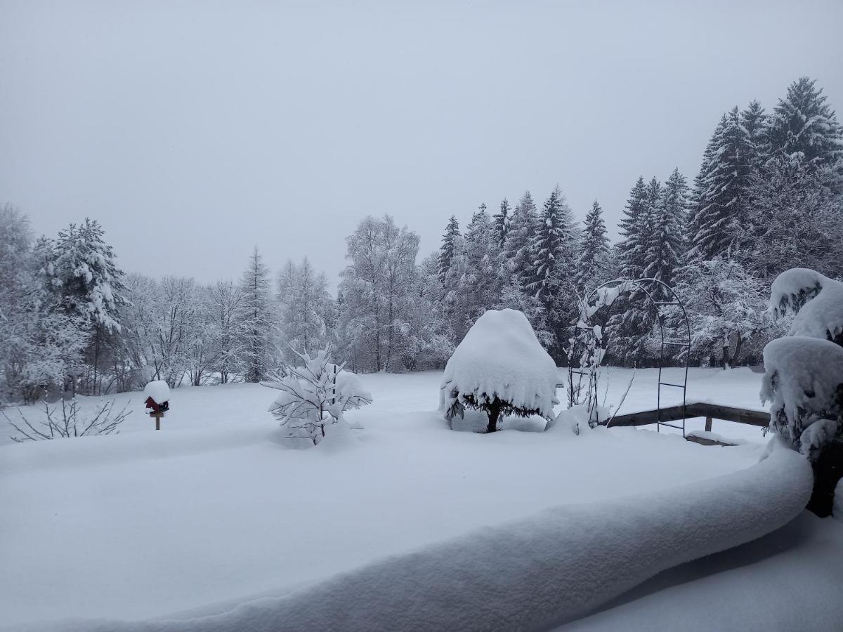 Haus Alexander Villa Fresach ภายนอก รูปภาพ